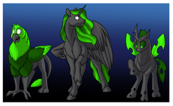 Size: 900x550 | Tagged: safe, artist:foxenawolf, oc, oc only, oc:long path, alicorn, changeling, griffon, pony, fanfic:a different perspective, alicorn oc, black fur, fanfic art, gradient background, green changeling, green feathers, green hair, green mane, horn, unshorn fetlocks