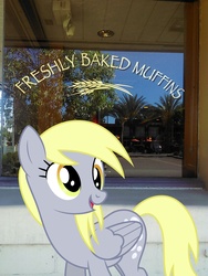 Size: 1536x2048 | Tagged: safe, derpy hooves, pegasus, pony, g4, female, irl, mare, muffin, photo, ponies in real life, vector