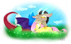 Size: 2000x1250 | Tagged: safe, artist:pillonchou, discord, fluttershy, g4, female, male, ship:discoshy, shipping, straight