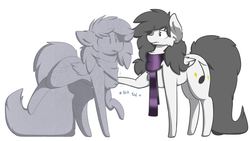Size: 1280x722 | Tagged: safe, artist:nom-sympony, oc, oc only, oc:cirrus tail, oc:pepci, pegasus, pony, cheek fluff, chest fluff, clothes, ear fluff, folded wings, inanimate tf, petrification, scarf, shoulder fluff, simple background, statue, transformation, white background, wings