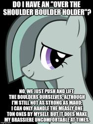 Size: 500x666 | Tagged: safe, marble pie, maud pie, g4, do you even lift, image macro, meme, painfully innocent marble, rock pun