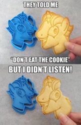 Size: 718x1111 | Tagged: safe, artist:crimson-mane, party favor, g4, my little pony: friendship is magic, the cutie map, cookie, cookie cutter, exploitable meme, food art, i didn't listen, image macro, irl, meme, photo, solo