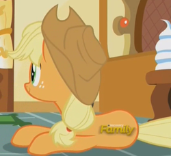 Size: 871x794 | Tagged: safe, screencap, applejack, g4, what about discord?, discovery family logo, unfortunate logo placement