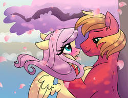 Size: 3380x2600 | Tagged: safe, artist:dreamscapevalley, big macintosh, fluttershy, earth pony, pony, g4, blushing, cherry blossoms, cute, flower, flower blossom, high res, male, petals, ship:fluttermac, shipping, shyabetes, stallion, straight, windswept mane