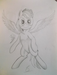 Size: 3216x4288 | Tagged: safe, artist:scribblepwn3, rainbow dash, pegasus, pony, g4, cutie mark, element of loyalty, female, flying, monochrome, pencil drawing, solo, spread wings, traditional art