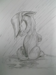 Size: 3216x4288 | Tagged: safe, artist:scribblepwn3, babs seed, earth pony, pony, g4, female, monochrome, pencil drawing, rain, sad, solo, traditional art