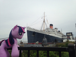 Size: 1280x960 | Tagged: safe, artist:pmbsakura37, twilight sparkle, g4, california, irl, long beach, photo, plushie, rms queen mary