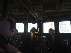 Size: 1280x960 | Tagged: safe, artist:pmbsakura37, twilight sparkle, g4, california, irl, long beach, photo, plushie, rms queen mary