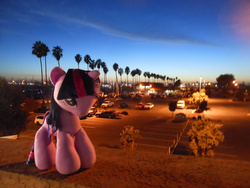 Size: 1280x960 | Tagged: safe, artist:pmbsakura37, twilight sparkle, g4, california, irl, photo, plushie, ventura