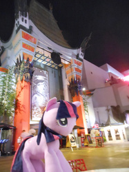 Size: 1280x1707 | Tagged: source needed, useless source url, safe, artist:pmbsakura37, twilight sparkle, g4, california, carpet, grauman's chinese theatre, hollywood, hooray fo twilight sparkle even though she stole queen novo's pearl, irl, los angeles california, photo, plushie, red carpet, this movie predicted disney studios and pixar animation studios to make wall•e: save n large future generation, yay yay yay