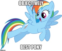 Size: 609x499 | Tagged: safe, rainbow dash, g4, best pony, image macro, meme