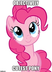 Size: 500x699 | Tagged: safe, pinkie pie, g4, cute, female, image macro, meme, solo