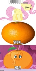 Size: 500x990 | Tagged: safe, screencap, fluttershy, g4, what about discord?, dragon ball, dragon ball z, flutterrange, food, food transformation, fusion, image macro, inanimate tf, meme, orange, orangified, transformation