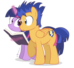 Size: 840x780 | Tagged: safe, artist:dm29, flash sentry, twilight sparkle, alicorn, pony, g4, book, female, male, mare, ship:flashlight, shipping, simple background, straight, transparent background, twilight sparkle (alicorn)