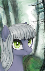 Size: 2758x4400 | Tagged: safe, artist:plotcore, limestone pie, g4, female, forest, looking at you, solo