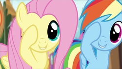 Size: 1280x720 | Tagged: safe, screencap, fluttershy, rainbow dash, g4, pinkie promise