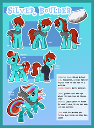 Size: 4144x5637 | Tagged: safe, artist:xwhitedreamsx, oc, oc only, oc:silver boulder, absurd resolution, clothes, rainbow power, rainbow power-ified, reference sheet, scarf, solo, tuxedo