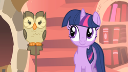 Size: 1366x768 | Tagged: safe, screencap, owlowiscious, twilight sparkle, bird, owl, pony, unicorn, g4, owl's well that ends well, cute, duo, duo male and female, female, golden oaks library, looking at something, male, mare, smiling, twiabetes, unicorn twilight