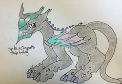 Size: 1024x707 | Tagged: safe, artist:sugilitealpawolf, oc, oc only, unnamed oc, changeling, dracony, dragon, hybrid, crack shipping, interspecies, offspring, parent:queen chrysalis, parent:spike, parents:chryspike, solo, traditional art