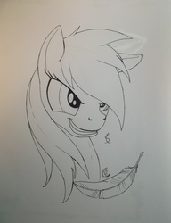 Size: 3215x4193 | Tagged: safe, artist:scribblepwn3, rainbow dash, pegasus, pony, g4, feather, female, lineart, monochrome, pen drawing, portrait, solo, traditional art