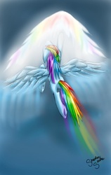 Size: 640x1013 | Tagged: safe, artist:shadow strike, rainbow dash, g4, contrail, female, shadow, solo, sonic rainboom