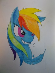 Size: 3216x4288 | Tagged: safe, artist:scribblepwn3, rainbow dash, pegasus, pony, g4, feather, female, pen drawing, portrait, solo, traditional art, watercolor painting