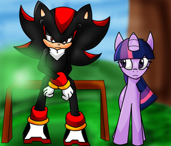 Size: 2014x1726 | Tagged: safe, artist:soul-yagami64, twilight sparkle, pony, g4, chaos emerald, crossover, male, request, shadow the hedgehog, sonic the hedgehog, sonic the hedgehog (series)