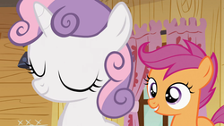 Size: 1366x768 | Tagged: safe, screencap, scootaloo, sweetie belle, family appreciation day, g4, eyes closed
