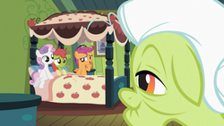 Size: 1366x768 | Tagged: safe, screencap, apple bloom, granny smith, scootaloo, sweetie belle, earth pony, pegasus, pony, unicorn, family appreciation day, g4, backwards thermometer, bed, cutie mark crusaders, female, filly, foal, green face, pillow, thermometer