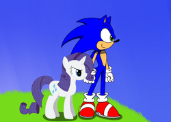 Size: 1400x1000 | Tagged: safe, artist:phantomshadow051, rarity, pony, g4, crossover, female, interspecies, male, rarisonic, shipping, sonic the hedgehog, sonic the hedgehog (series), straight