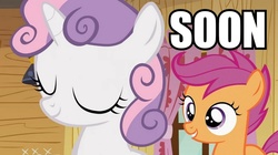 Size: 896x500 | Tagged: safe, screencap, scootaloo, sweetie belle, g4, image macro, meme, soon