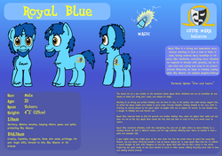 Size: 2220x1560 | Tagged: safe, artist:baratus93, oc, oc only, oc:royal blue, pony, unicorn, backstory, bio, cutie mark, male, reference sheet, solo, stallion