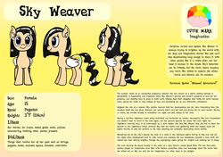 Size: 2220x1560 | Tagged: safe, artist:baratus93, oc, oc only, oc:sky weaver, pegasus, pony, backstory, bio, cutie mark, reference sheet, solo