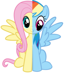 Size: 840x951 | Tagged: safe, artist:nejcrozi, fluttershy, rainbow dash, g4, simple background, transparent background, two sides