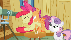 Size: 1366x768 | Tagged: safe, screencap, apple bloom, scootaloo, sweetie belle, family appreciation day, g4, bump, cutie mark crusaders, great moments in animation