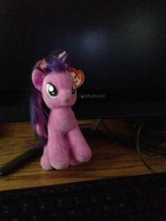 Size: 600x800 | Tagged: safe, twilight sparkle, g4, computer, cute, irl, photo, plushie, ty