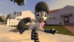 Size: 1920x1080 | Tagged: safe, artist:toxicgreen1337, octavia melody, g4, 3d, clothes, female, socks, solo, striped socks