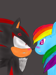 Size: 1536x2048 | Tagged: safe, artist:enragedshadow, rainbow dash, g4, crossover, male, shadow the hedgehog, sonic the hedgehog, sonic the hedgehog (series)