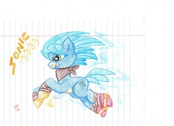 Size: 1024x744 | Tagged: safe, artist:candiphoenixes, pony, lined paper, male, ponified, solo, sonic boom, sonic the hedgehog, sonic the hedgehog (series), traditional art