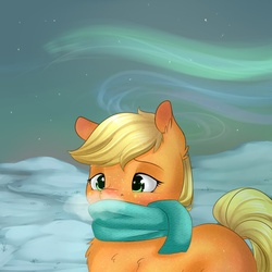 Size: 894x894 | Tagged: safe, artist:chiweee, applejack, g4, aurora borealis, breath, clothes, female, filly, red nosed, sad, scarf, snow, solo