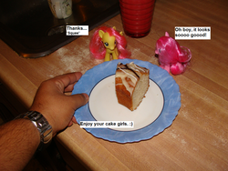 Size: 1024x768 | Tagged: safe, fluttershy, pinkie pie, human, g4, brushable, cake, cute, food, irl, irl human, photo, plate, text, toy