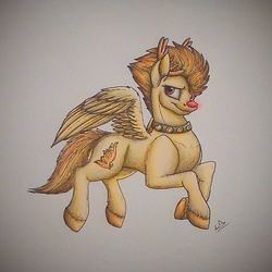 Size: 1024x1024 | Tagged: safe, artist:lupiarts, part of a set, spitfire, pony, g4, advent calendar, christmas, clothes, costume, female, flying, looking back, red nose, rudolph the red nosed reindeer, solo, spread wings, traditional art