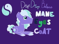Size: 2048x1536 | Tagged: safe, artist:butterscotsh, oc, oc only, oc:drip drop balance, reference sheet, solo