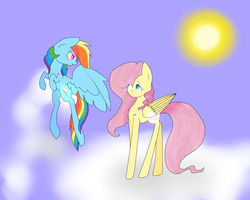 Size: 5000x4000 | Tagged: safe, artist:clefficia, fluttershy, rainbow dash, g4