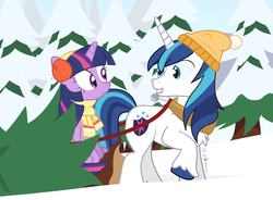Size: 1000x735 | Tagged: safe, artist:dm29, shining armor, twilight sparkle, alicorn, pony, g4, advent calendar, duo, female, hat, holiday horse days, horse collar, mare, pine tree, snow, tree, twilight sparkle (alicorn)