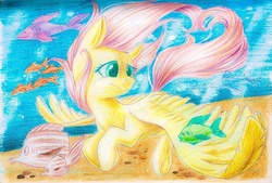 Size: 1119x755 | Tagged: safe, artist:theorderofalisikus, fluttershy, fish, g4, female, pencil drawing, solo, traditional art, underwater, watershy