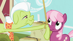 Size: 1366x768 | Tagged: safe, screencap, cheerilee, granny smith, earth pony, pony, family appreciation day, g4, duo, female, mare, rope, touching face, uncomfortable