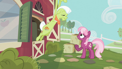 Size: 1366x768 | Tagged: safe, screencap, cheerilee, granny smith, family appreciation day, g4