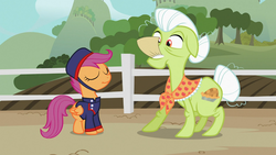 Size: 1366x768 | Tagged: safe, screencap, granny smith, scootaloo, family appreciation day, g4