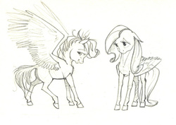 Size: 1024x727 | Tagged: safe, artist:skyaircobra, fluttershy, rainbow dash, g4, blank flank, duo, filly, filly fluttershy, filly rainbow dash, monochrome, pencil drawing, simple background, sketch, spread wings, standing, traditional art, younger
